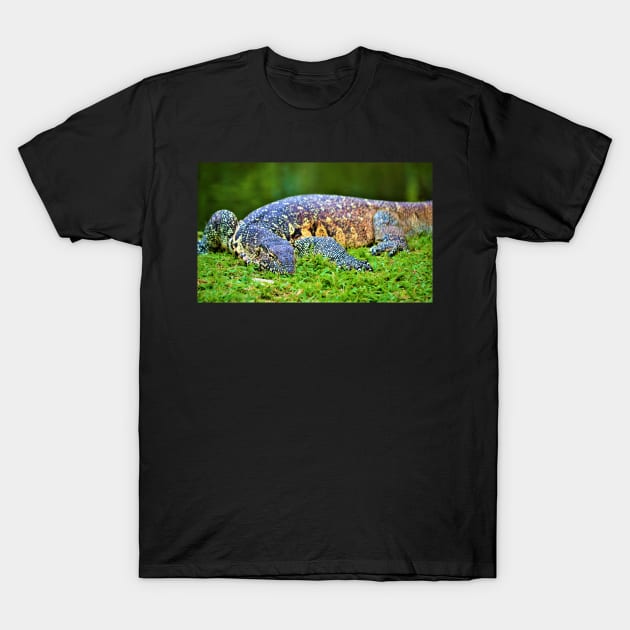 Giant Monitor Lizard 2 T-Shirt by Fitra Design